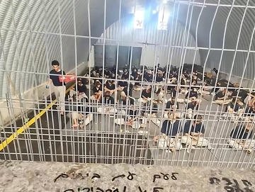 Desde la reclusión de 30 personas en una celda hasta el brote de abscesos, parásitos y gangrena